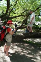 BF-Treffen_LG-20180507-0047-07-LeS-LeS-DSC00417