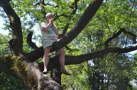 BF-Treffen_LG-20180507-0060-01-GaN_6560
